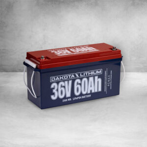 Buy Dakota Lithium 36V 60AH Deep Cycle Golf Cart Battery