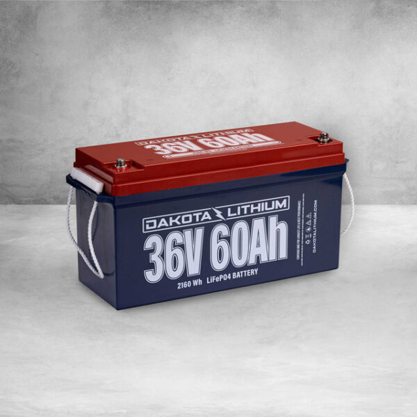 Buy Dakota Lithium 36V 60AH Deep Cycle Golf Cart Battery
