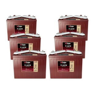 Buy Trojan T-1275 Batteries - 12 Volt (6 Pack, 72V) in United States